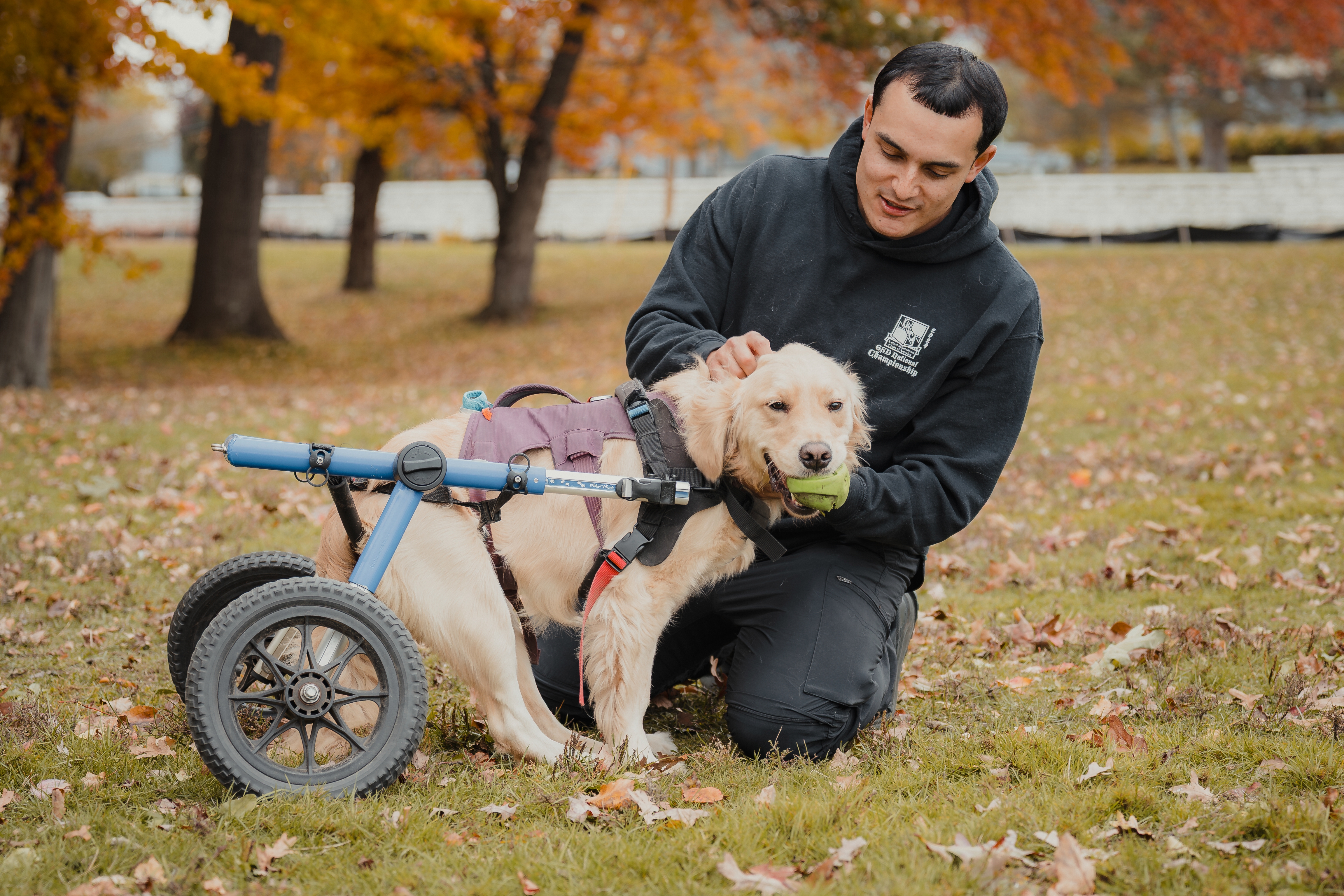 Steven training with Buttercup outdoors