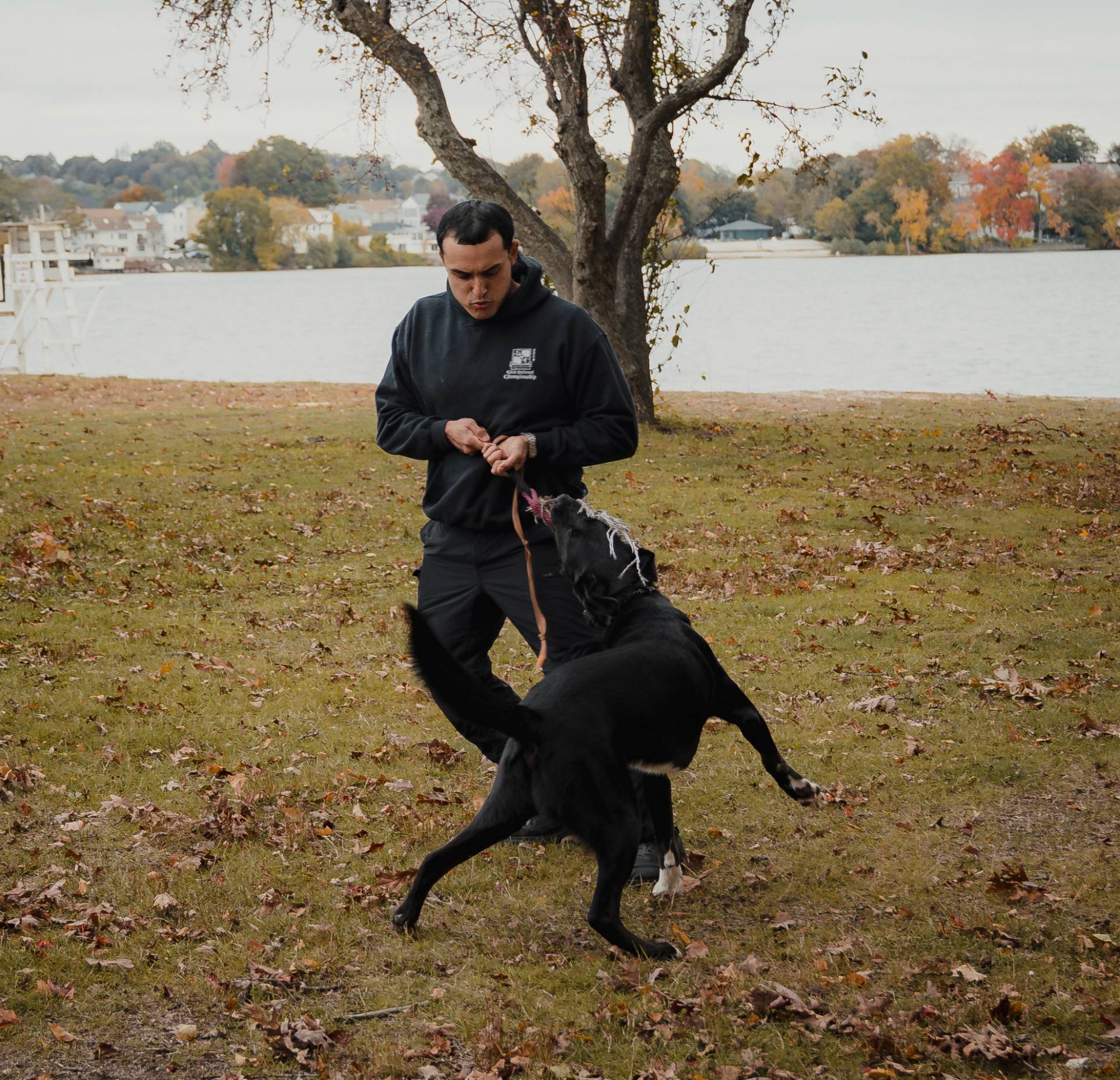 Skill Tree K9 trainer working with a dog on leash outdoors in Fitchburg, Massachusetts