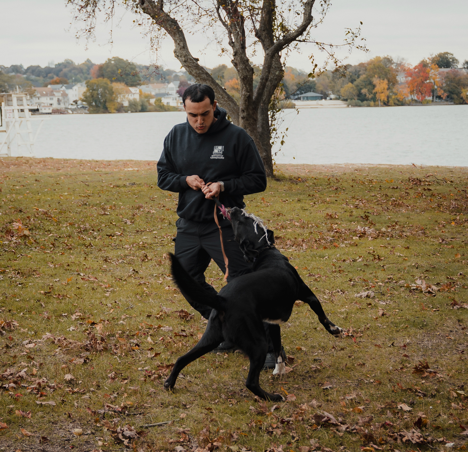 Trainer with dogs outdoors