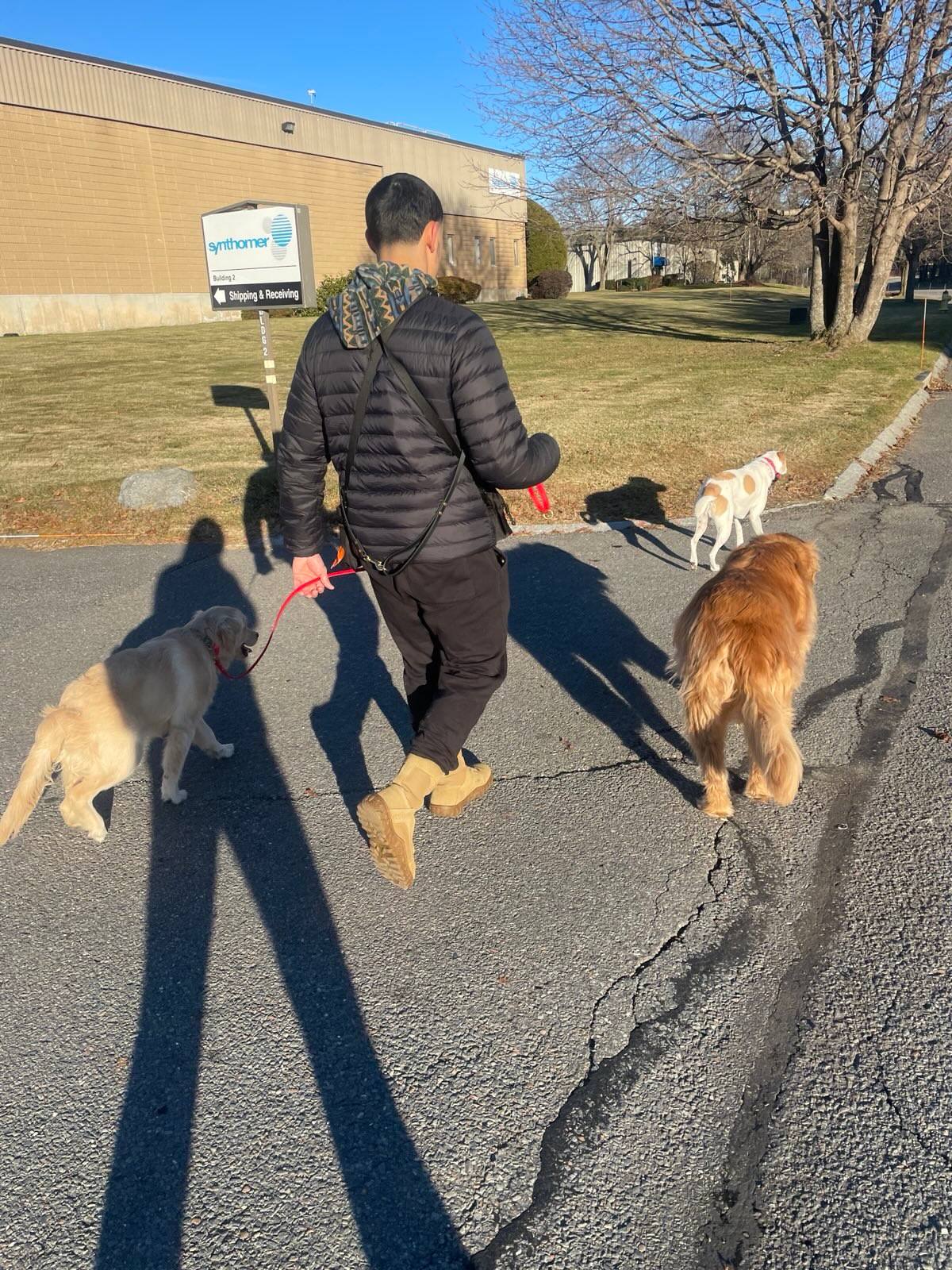 Dog owner walking calmly on a loose leash after training